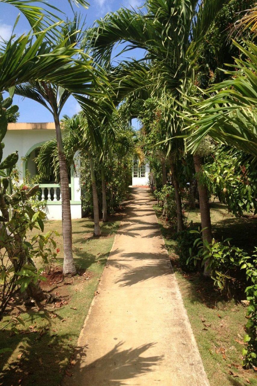 Hidden Paradise Resort Hotel Негрил Екстериор снимка